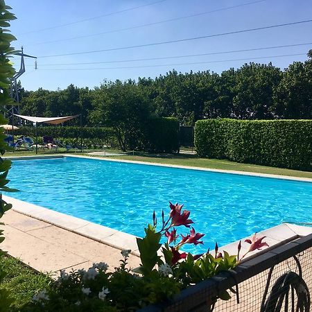 Agriturismo Corte Pellegrini San Martino Buon Albergo Exterior foto